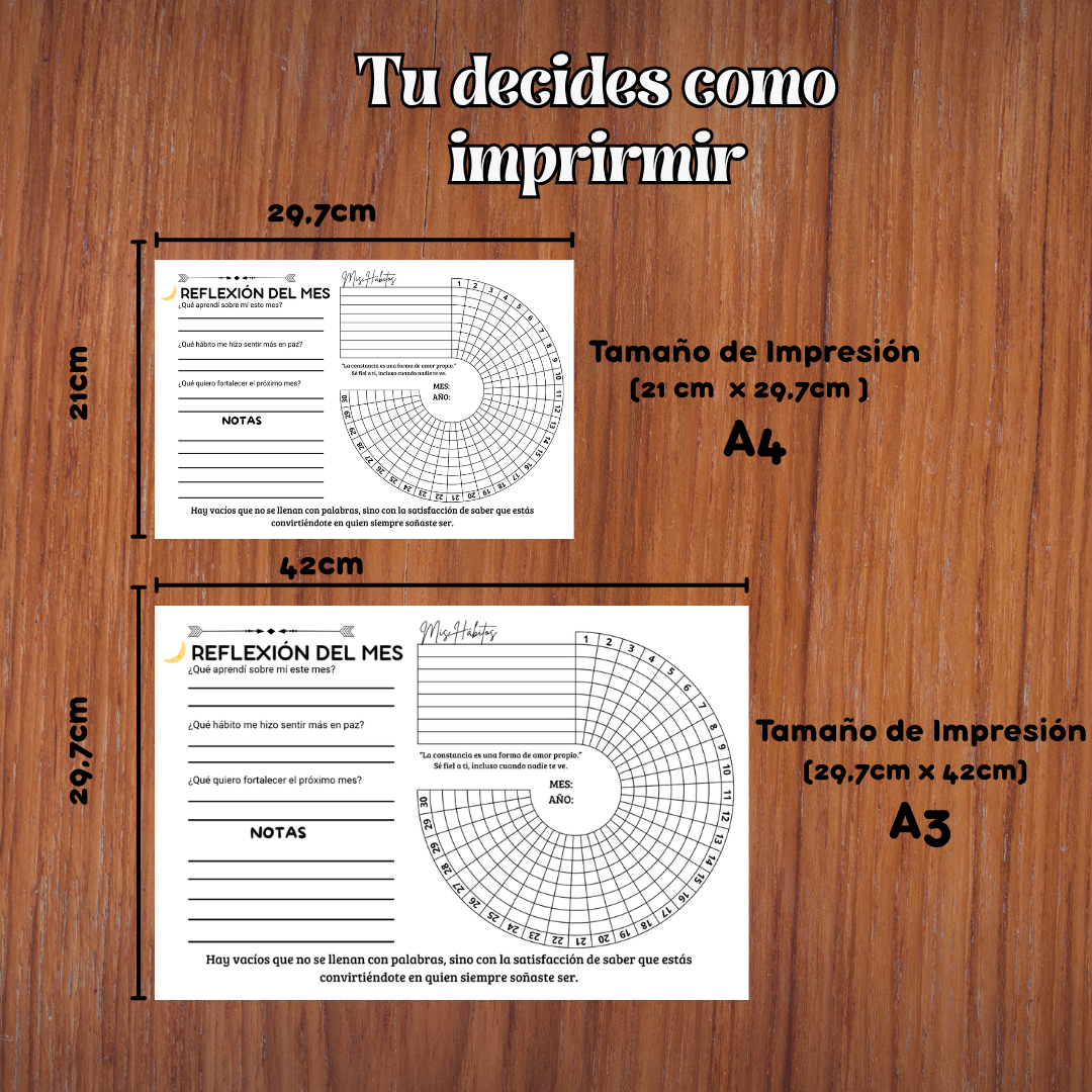 Plantilla Reto de Disciplina Consciente